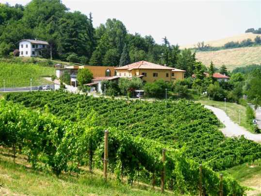 azienda_agricola_vini_gaggioli_company_article